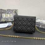 DIOR CARO POUCH 19 BAG IN BLACK CALFSKIN