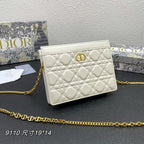 DIOR CARO POUCH 19 BAG IN WHITE CALFSKIN
