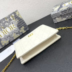 DIOR CARO POUCH 19 BAG IN WHITE CALFSKIN