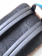 LOUIS VUITTON DEAN BACKPACK 42 IN BLUE AND BROWN MONOGRAM CANVAS