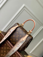 LOUIS VUITTON CLUNY MINI 20 IN BROWN MONOGRAM CANVAS