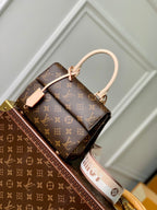 LOUIS VUITTON CLUNY MINI 20 IN BROWN MONOGRAM CANVAS