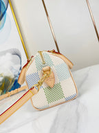 LOUIS VUITTON SPEEDY BANDOULIÈRE 20 IN PISTACHIO DAMIER GIANT CANVAS GOLD HARDWARE