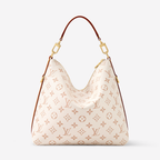 LV Multipass Bag