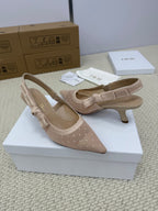 DIOR HIGH SLINGBACK 65 MM 25S IN NUDE LACE NET FABRIC AND SUEDE