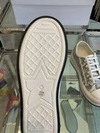 DIOR WALK'N PLATFORM SNEAKER IN DOLPHIN GRAY EMBROIDERY ICONIC PATTERNS FABRIC